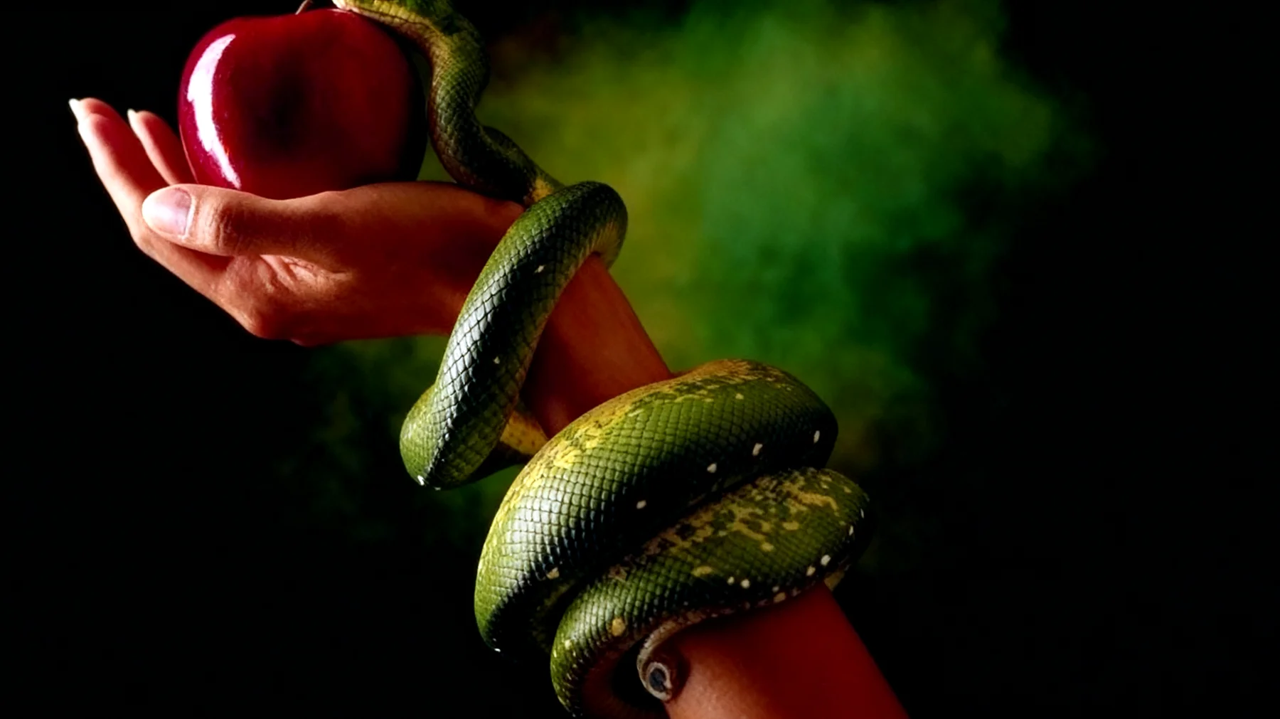 Forbidden Fruit2025-12-23T08:47:17.566Z"