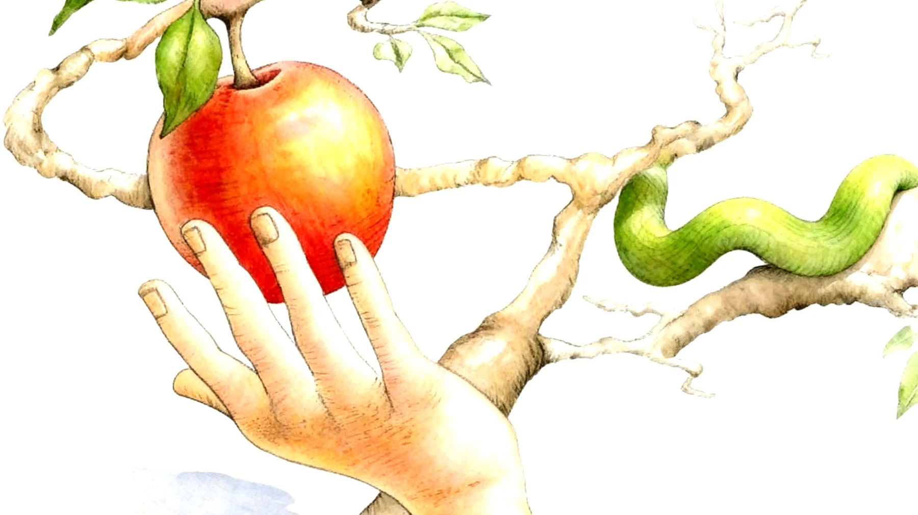 Forbidden Fruit2025-12-26T08:54:44.160Z"