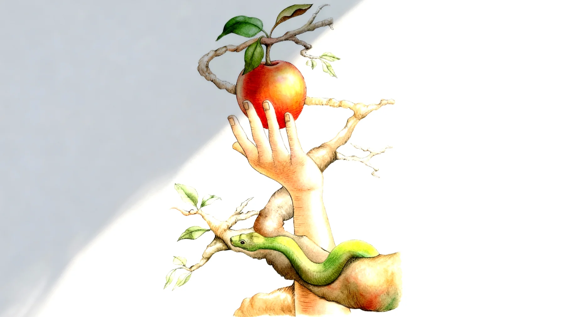 Forbidden Fruit2025-12-27T08:48:50.036Z"