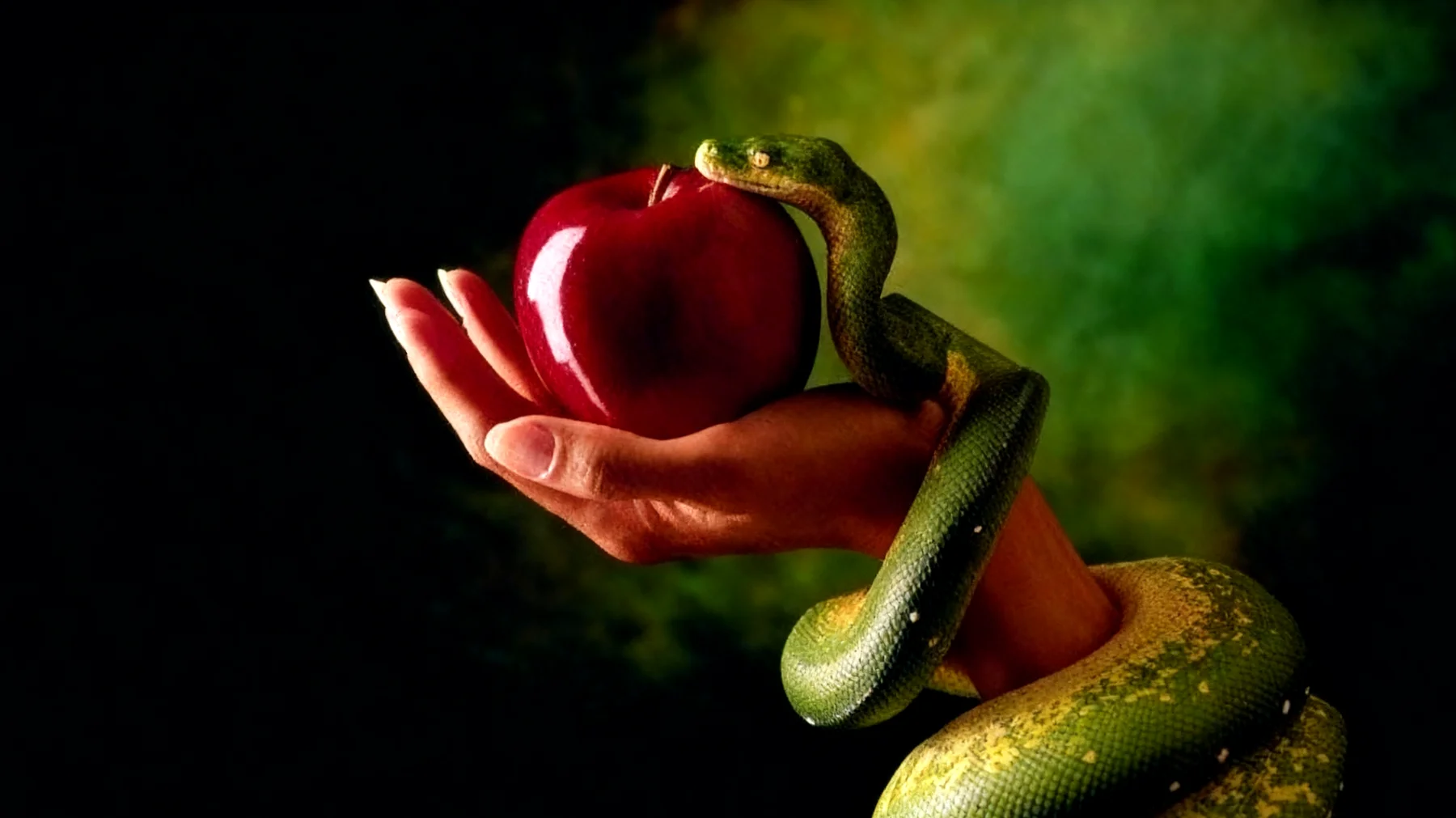 Forbidden Fruit2025-12-28T08:53:13.615Z"