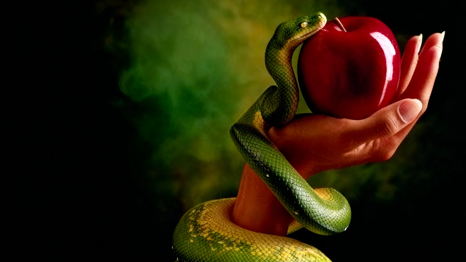 Forbidden Fruit2025-12-29T08:49:34.216Z"