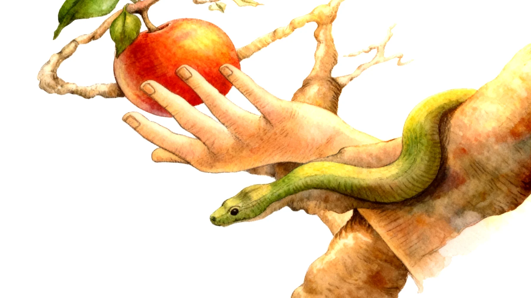 Forbidden Fruit2026-01-04T08:51:56.993Z"