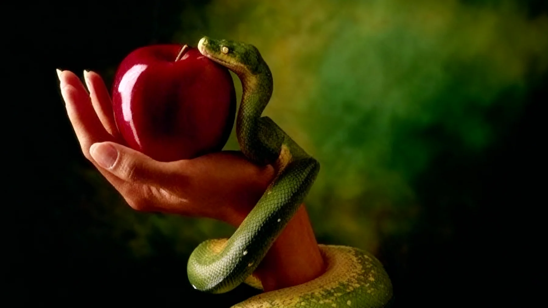 Forbidden Fruit2026-01-06T08:54:16.651Z"