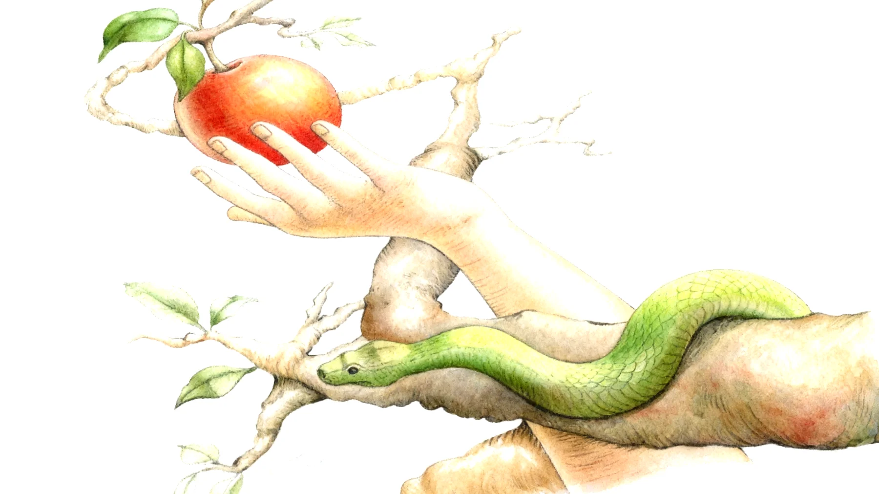 Forbidden Fruit2026-01-11T08:52:53.296Z"