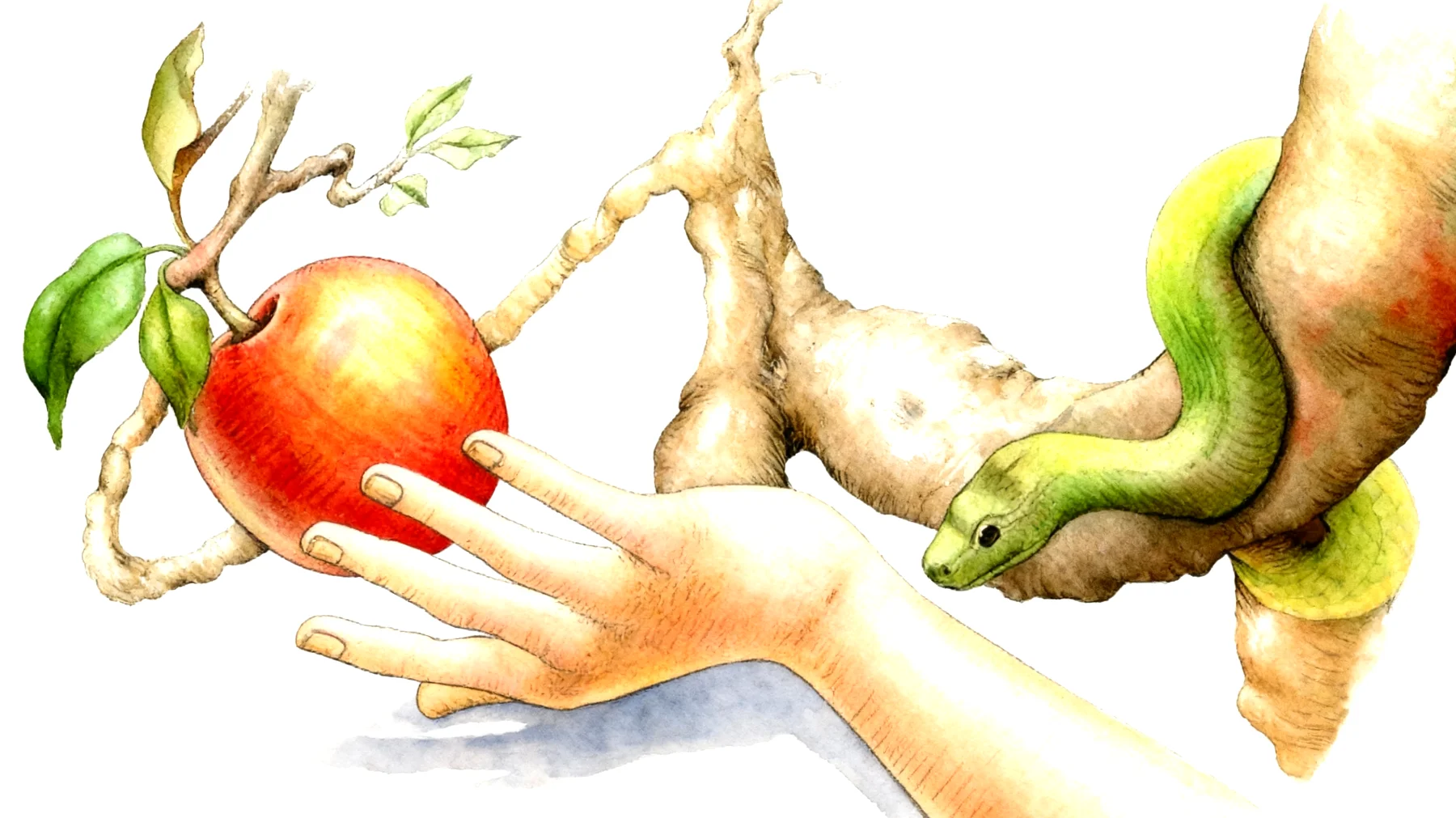 Forbidden Fruit2026-01-13T08:52:48.733Z"